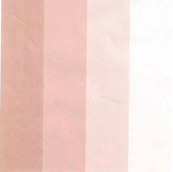 Paleta de cor da Fungus Collection, de nudes rosados a terracota
